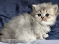 https://www.waibe.fr/sites/delphine59h/medias/images/__HIDDEN__galerie_19/IMG_20260908_142357.jpg