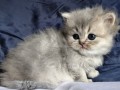 https://www.waibe.fr/sites/delphine59h/medias/images/__HIDDEN__galerie_19/IMG_20260908_142358.jpg
