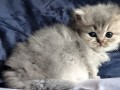 https://www.waibe.fr/sites/delphine59h/medias/images/__HIDDEN__galerie_19/IMG_20260908_142408.jpg
