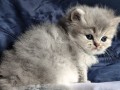 https://www.waibe.fr/sites/delphine59h/medias/images/__HIDDEN__galerie_19/IMG_20260908_142414.jpg