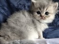 https://www.waibe.fr/sites/delphine59h/medias/images/__HIDDEN__galerie_19/IMG_20260908_142416.jpg