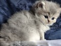 https://www.waibe.fr/sites/delphine59h/medias/images/__HIDDEN__galerie_19/IMG_20260908_142417.jpg
