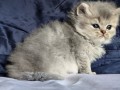 https://www.waibe.fr/sites/delphine59h/medias/images/__HIDDEN__galerie_19/IMG_20260908_142421.jpg