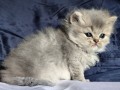 https://www.waibe.fr/sites/delphine59h/medias/images/__HIDDEN__galerie_19/IMG_20260908_142423.jpg