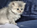 https://www.waibe.fr/sites/delphine59h/medias/images/__HIDDEN__galerie_19/IMG_20260908_142427.jpg