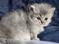 https://www.waibe.fr/sites/delphine59h/medias/images/__HIDDEN__galerie_19/IMG_20260908_142446.jpg
