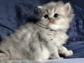 https://www.waibe.fr/sites/delphine59h/medias/images/__HIDDEN__galerie_19/IMG_20260908_142502.jpg