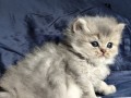 https://www.waibe.fr/sites/delphine59h/medias/images/__HIDDEN__galerie_19/IMG_20260908_142508.jpg