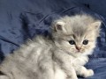 https://www.waibe.fr/sites/delphine59h/medias/images/__HIDDEN__galerie_19/IMG_20260908_142509.jpg