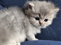 https://www.waibe.fr/sites/delphine59h/medias/images/__HIDDEN__galerie_19/IMG_20260908_142524.jpg