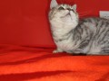 https://www.waibe.fr/sites/delphine59h/medias/images/__HIDDEN__galerie_2/IMG_20250311_135704.jpg