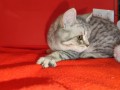https://www.waibe.fr/sites/delphine59h/medias/images/__HIDDEN__galerie_2/IMG_20250311_135707.jpg