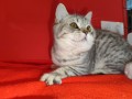 https://www.waibe.fr/sites/delphine59h/medias/images/__HIDDEN__galerie_2/IMG_20250311_135711.jpg