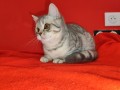 https://www.waibe.fr/sites/delphine59h/medias/images/__HIDDEN__galerie_2/IMG_20250311_135724.jpg