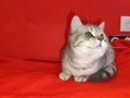 https://www.waibe.fr/sites/delphine59h/medias/images/__HIDDEN__galerie_2/IMG_20250311_135734.jpg