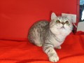 https://www.waibe.fr/sites/delphine59h/medias/images/__HIDDEN__galerie_2/IMG_20250311_135745.jpg