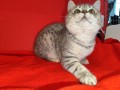 https://www.waibe.fr/sites/delphine59h/medias/images/__HIDDEN__galerie_2/IMG_20250311_135748.jpg