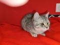 https://www.waibe.fr/sites/delphine59h/medias/images/__HIDDEN__galerie_2/IMG_20250311_135803.jpg