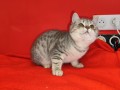 https://www.waibe.fr/sites/delphine59h/medias/images/__HIDDEN__galerie_2/IMG_20250311_135812.jpg