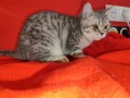 https://www.waibe.fr/sites/delphine59h/medias/images/__HIDDEN__galerie_2/IMG_20250311_140221.jpg