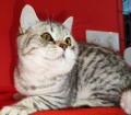 https://www.waibe.fr/sites/delphine59h/medias/images/__HIDDEN__galerie_2/IMG_20250313_154711.jpg