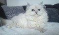 https://www.waibe.fr/sites/delphine59h/medias/images/__HIDDEN__galerie_20/IMG_20240310_191717.jpg