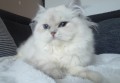 https://www.waibe.fr/sites/delphine59h/medias/images/__HIDDEN__galerie_20/IMG_20240310_191824.jpg