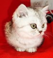 https://www.waibe.fr/sites/delphine59h/medias/images/__HIDDEN__galerie_21/IMG_20250313_153021.jpg