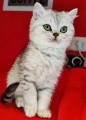 https://www.waibe.fr/sites/delphine59h/medias/images/__HIDDEN__galerie_21/IMG_20250313_153630.jpg