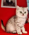 https://www.waibe.fr/sites/delphine59h/medias/images/__HIDDEN__galerie_21/IMG_20250313_153808.jpg