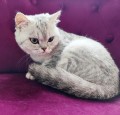 https://www.waibe.fr/sites/delphine59h/medias/images/__HIDDEN__galerie_21/IMG_20250612_174015.jpg