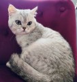 https://www.waibe.fr/sites/delphine59h/medias/images/__HIDDEN__galerie_21/IMG_20250612_174953.jpg
