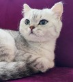 https://www.waibe.fr/sites/delphine59h/medias/images/__HIDDEN__galerie_21/IMG_20250612_175339.jpg