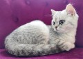 https://www.waibe.fr/sites/delphine59h/medias/images/__HIDDEN__galerie_21/IMG_20250612_175909.jpg