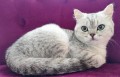 https://www.waibe.fr/sites/delphine59h/medias/images/__HIDDEN__galerie_21/IMG_20250612_180347.jpg