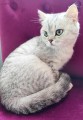 https://www.waibe.fr/sites/delphine59h/medias/images/__HIDDEN__galerie_21/IMG_20250612_180945.jpg