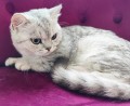 https://www.waibe.fr/sites/delphine59h/medias/images/__HIDDEN__galerie_21/IMG_20250612_181043.jpg
