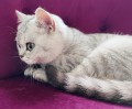 https://www.waibe.fr/sites/delphine59h/medias/images/__HIDDEN__galerie_21/IMG_20250612_181115.jpg