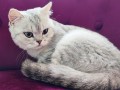 https://www.waibe.fr/sites/delphine59h/medias/images/__HIDDEN__galerie_21/IMG_20250612_181144.jpg