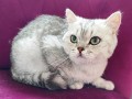 https://www.waibe.fr/sites/delphine59h/medias/images/__HIDDEN__galerie_21/IMG_20250612_181212.jpg