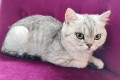 https://www.waibe.fr/sites/delphine59h/medias/images/__HIDDEN__galerie_21/IMG_20250612_181328.jpg