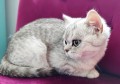 https://www.waibe.fr/sites/delphine59h/medias/images/__HIDDEN__galerie_21/IMG_20250612_181941.jpg