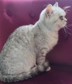 https://www.waibe.fr/sites/delphine59h/medias/images/__HIDDEN__galerie_21/IMG_20250612_182057.jpg