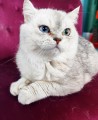 https://www.waibe.fr/sites/delphine59h/medias/images/__HIDDEN__galerie_23/IMG_20250612_160501.jpg