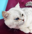 https://www.waibe.fr/sites/delphine59h/medias/images/__HIDDEN__galerie_23/IMG_20250612_160618.jpg