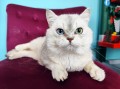 https://www.waibe.fr/sites/delphine59h/medias/images/__HIDDEN__galerie_23/IMG_20250612_160920.jpg
