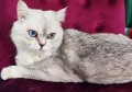 https://www.waibe.fr/sites/delphine59h/medias/images/__HIDDEN__galerie_23/IMG_20250612_161122.jpg