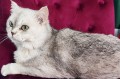 https://www.waibe.fr/sites/delphine59h/medias/images/__HIDDEN__galerie_23/IMG_20250612_161147.jpg