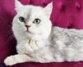 https://www.waibe.fr/sites/delphine59h/medias/images/__HIDDEN__galerie_23/IMG_20250612_161218.jpg