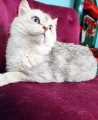 https://www.waibe.fr/sites/delphine59h/medias/images/__HIDDEN__galerie_23/IMG_20250612_161243.jpg